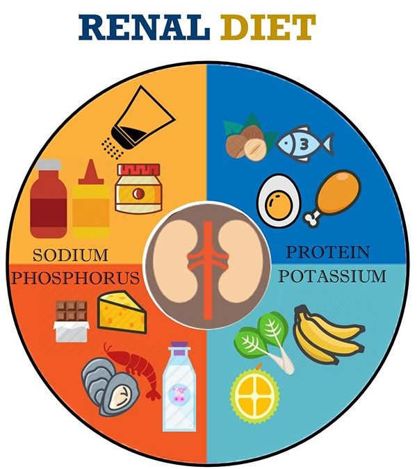 Eating Right For Chronic Kidney Disease 慢性肾病的正确饮食