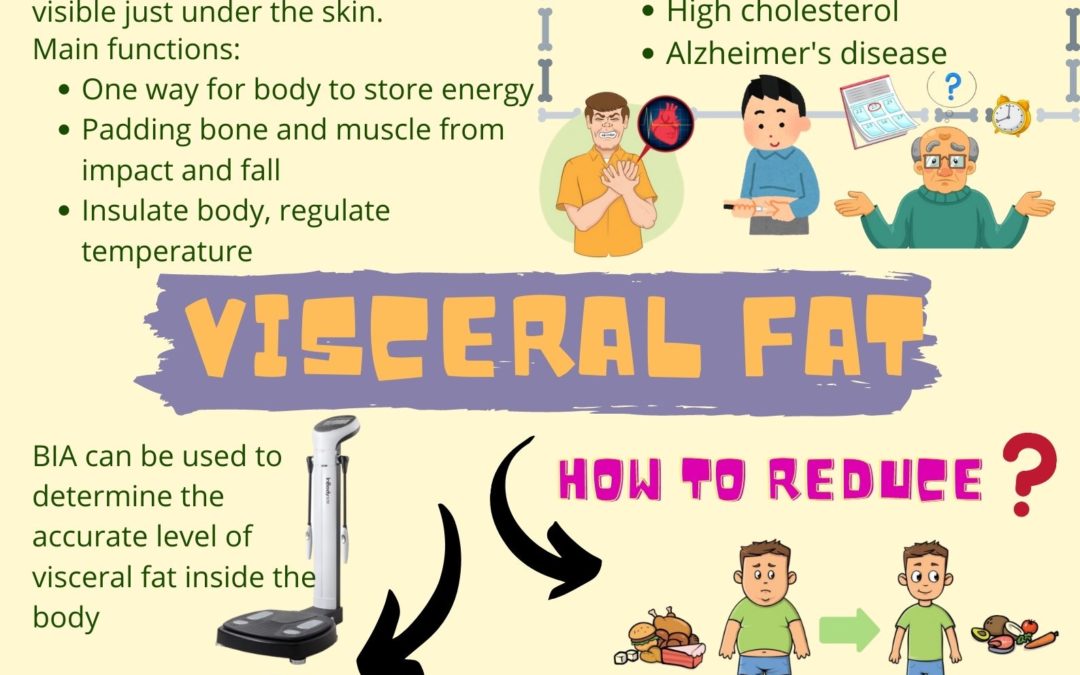 VISCERAL FAT, THE SILENT KILLER 内脏脂肪，隐形的杀手