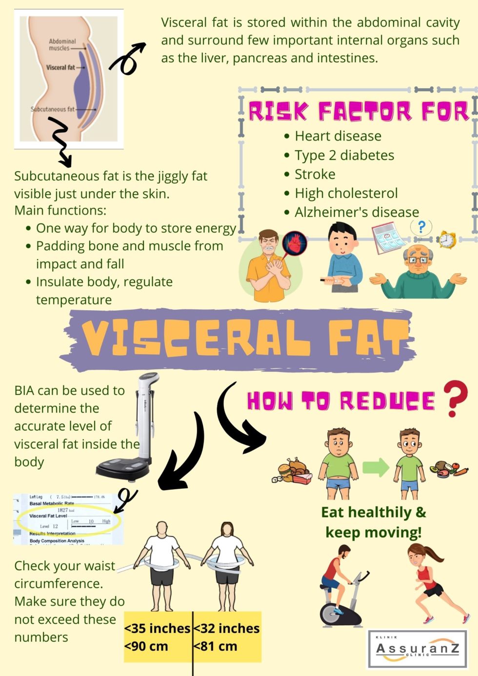 Visceral Fat Risk Graph Dietitian Consultation Services 饮食治疗咨询服务 | Assuranz Clinic