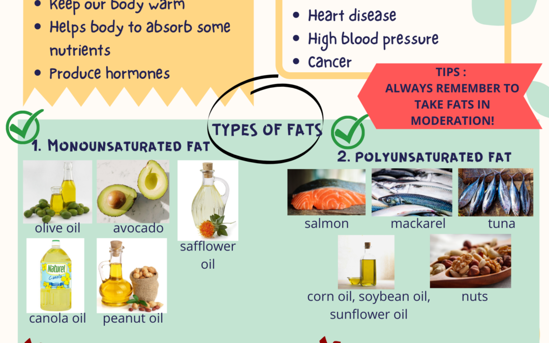 Dietary Fat 膳食脂肪