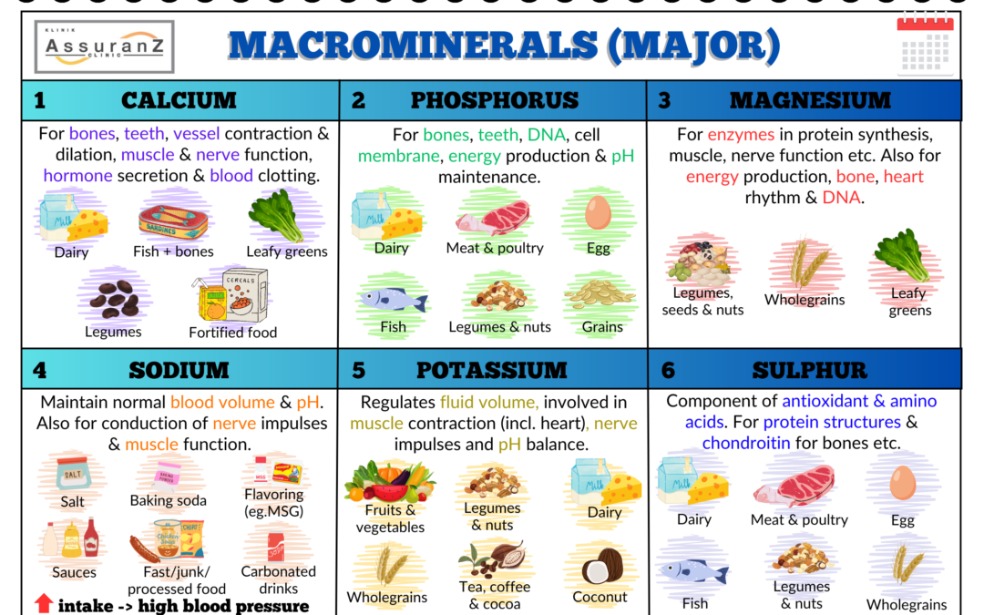 Micronutrient 2 – Macrominerals (Major Minerals) 微量营养素2 – 常量矿物质（主要矿物）