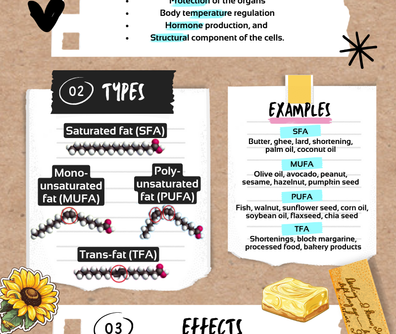 Dietary Fats  膳食脂肪